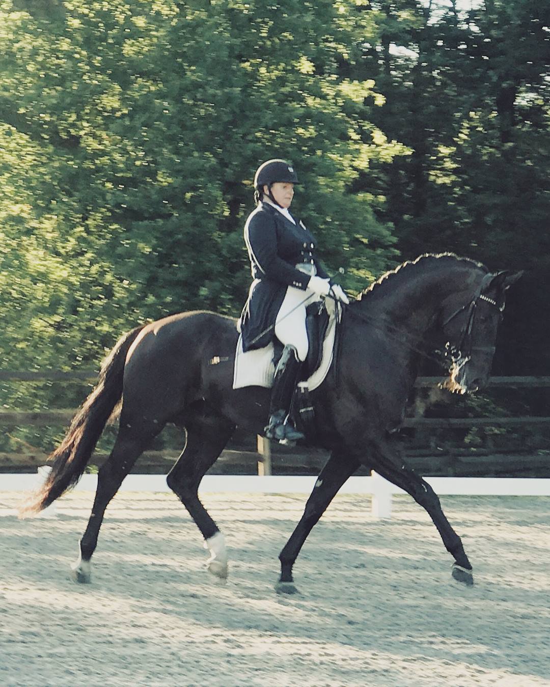 Silke Rembacz Rider Clinic Fri. Nov. 21st (SOLD OUT), Sat Nov. 22nd and Sun Nov. 23rd, 2025