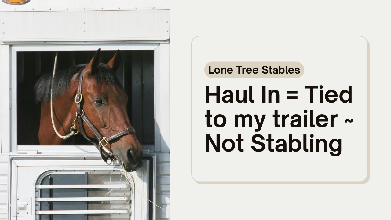 Haul In (If you are not Stabling or Boarding at LTS You are a Haul In)